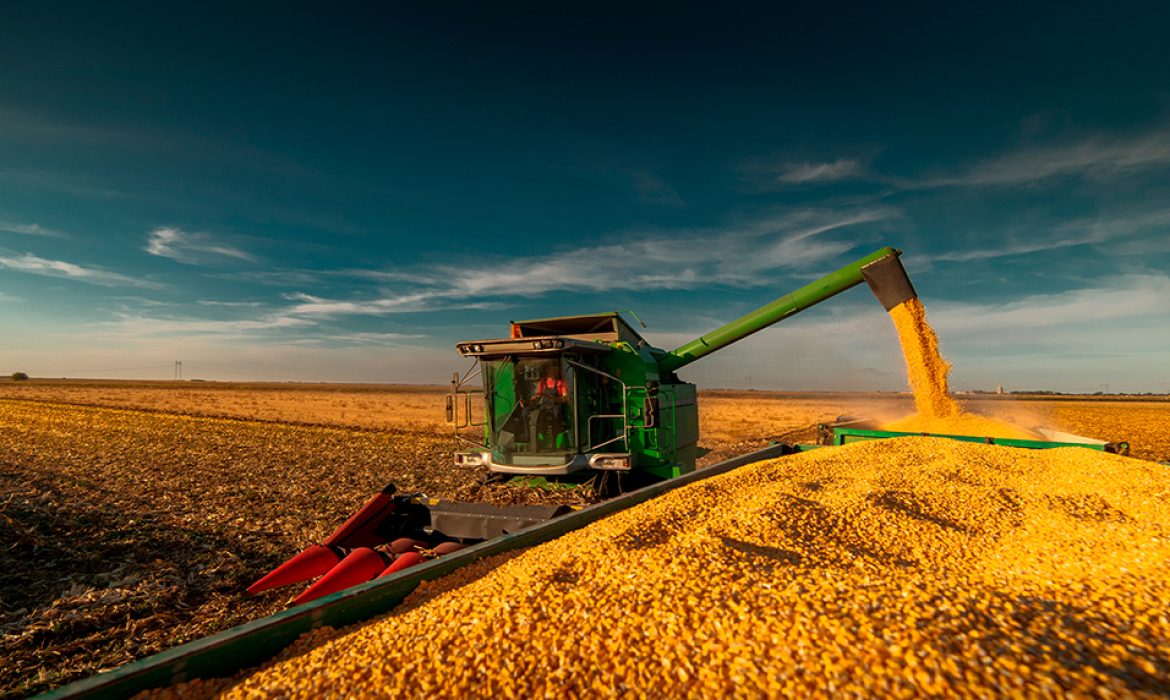 Avanço da colheita de milho inverno e atraso da comercialização de grãos pressiona demanda por armazenagem em Mato Grosso.